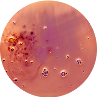 Retinol (Vitamin A)